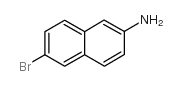 2-Amino-6-bromonaphthalene(70592-80-2)
